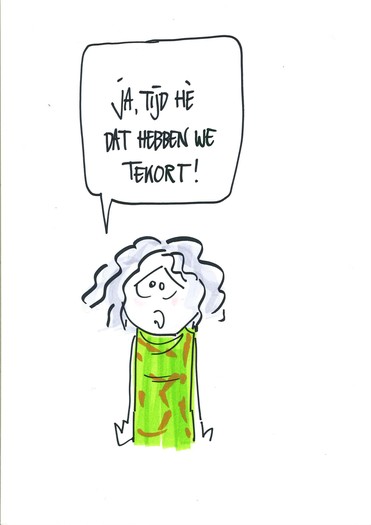 afbeelding 5