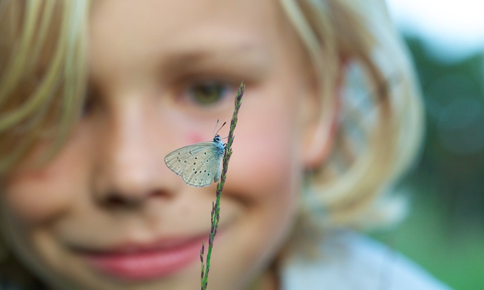 SCHOOL GEZOCHT voor natuuronderzoek, improvisatie en verbeelding.