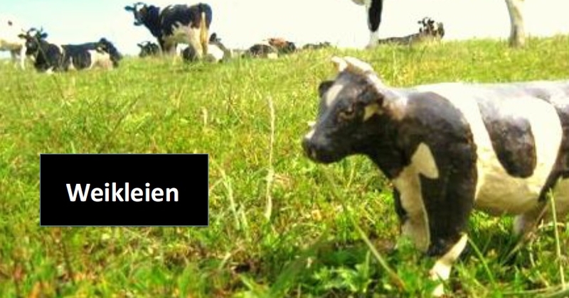 WEIKLEIEN (model boetseren)