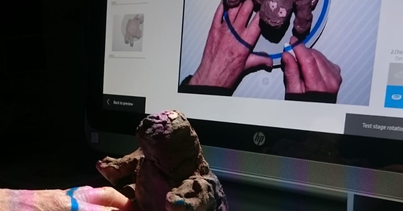 Het Wonderlijke Dieren, Gekke Beesten of Vriendelijk Monster / Pilot-project