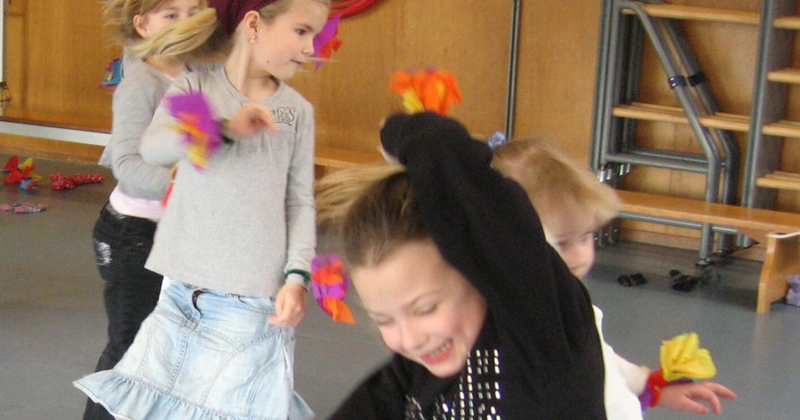 Co-teaching + Dansbox 'Vrije vogels'