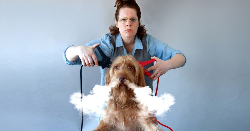 De Hond Die Licht Gaf - Kim van Zeben & MaxTak