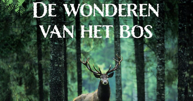 KINDERBOEKENWEEK 2022: De wonderen van het bos